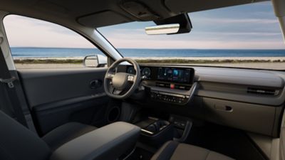 IONIQ 5 N Line Business
