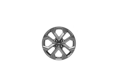 Felg 17’’ –Aluminiumsfelg-Bijanamugraphite. Foto.