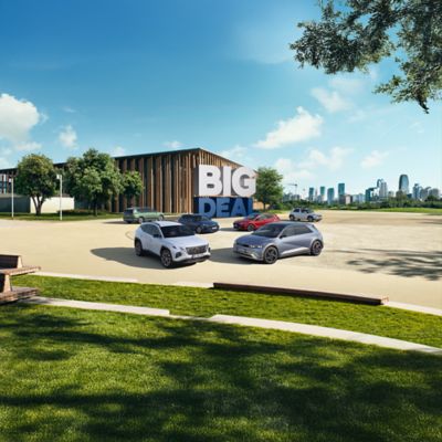 BIG DEAL, conditions de stock