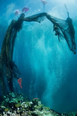 Ghost nets, abandoned fishing nets being floated to the surface of the sea to be recycled.