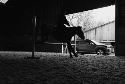 Silhouette view of Hyundai SANTA FE and a pony jump.