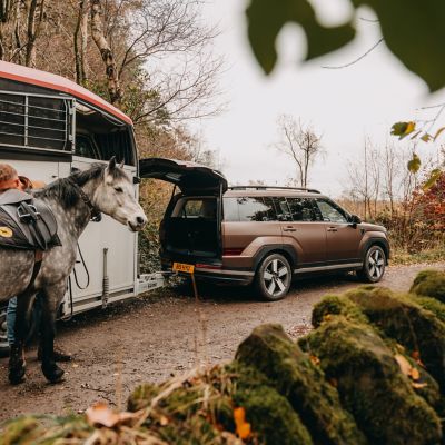 Hyundai TUCSON and SANTA FE.