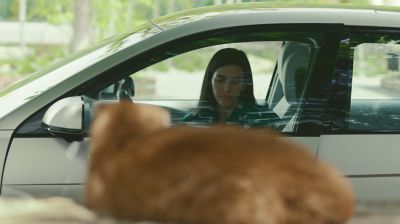 Una ragazza scenda da Hyundai IONIQ 5 davanti a un gatto