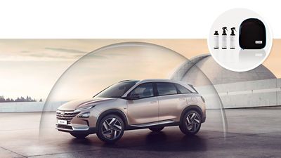NEXO Glasscoat