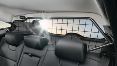 Rückbank eines Hyundai Fahrzeugs mit eingebautem Kofferraum-Trenngitter.