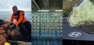 Collage aus Bildern zur Zusammenarbeit zwischen Hyundai, Healthy Seas und dem Discovery Channel.