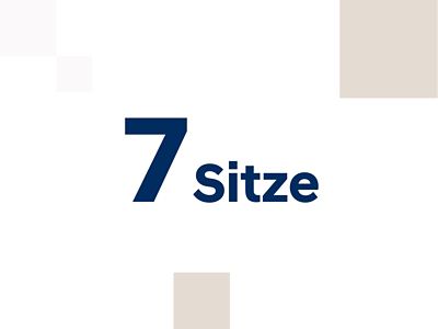Infografik: 7 Sitze beim Hyundai IONIQ 9.