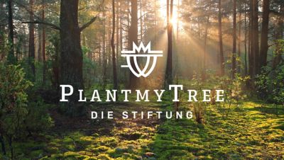 Plant my Tree Stiftung Logo auf einem sonnendurchfluteten Wald