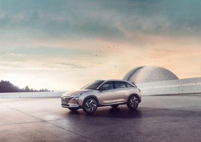 Ein Hyundai NEXO parkt unter freiem Himmel und Vögeln am Horizont auf einem Dach.