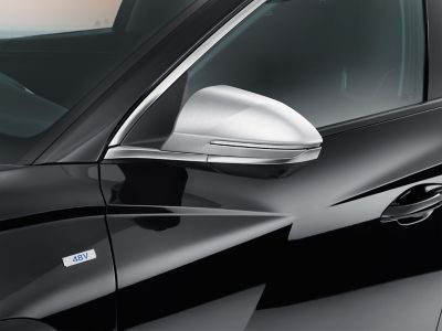Detailbild: Außenspiegel eines Hyundai mit Spiegelkappe in Metall-Optik.