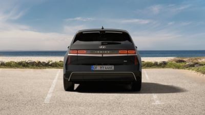 IONIQ 5 N Line Business