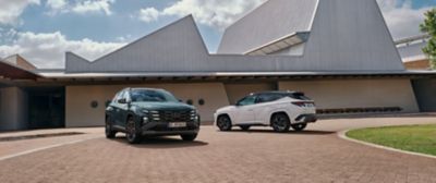 Flera Hyundai-bilar parkerade på öppen yta i ett landskap med berg i bakgrunden.