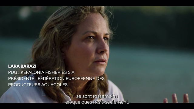 Hyundai & Healthy Seas