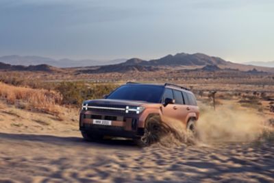 Hyundai nuova SANTA FE nel deserto