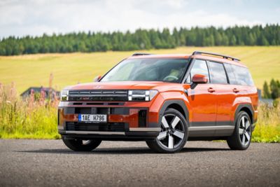 Hyundai SANTA FE linksvoor schuin aanzicht weiland