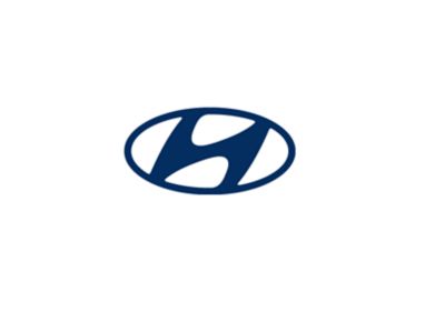 ikona hyundai vlajka