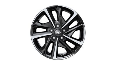 Lichtmetalen 17” velg