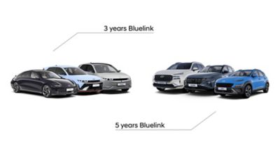 Graf rozdělení předpaltného Bluelink s modely Hyundai.