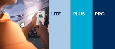 Bluelink Packages LITE, PLUS and PRO
