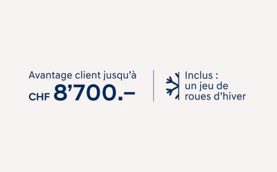 Compris: 4 pneus d'hiver complets.