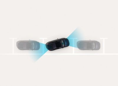 Missing Asset Image