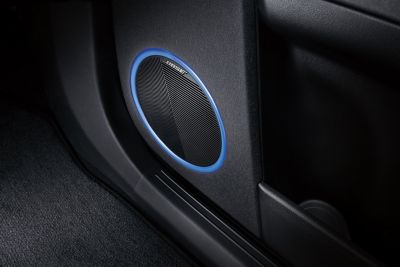 A door speaker of the BOSE premium sound system in the all-electric Hyundai IONIQ 5 N. 