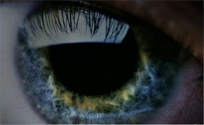 Closeup of the human eye with a reflection of light.