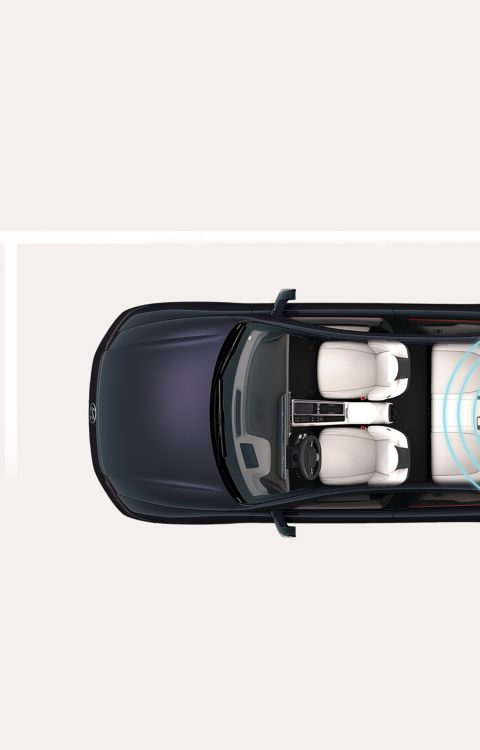 Missing Asset Image