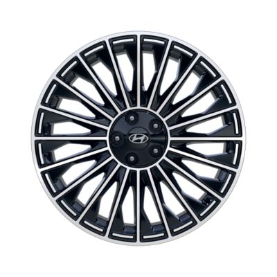 Glossy Black 21" Alloy Wheel