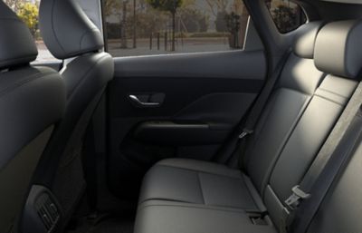 An image of the new woven cloth door trim in the Hyundai KONA.