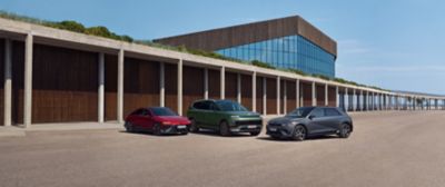 Hyundai electric and hybrid vehicles for a large corporate fleet.