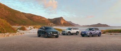 Hyundai fleet vehicles for a growing small or medium-sized business
