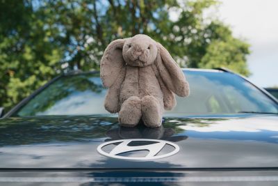 Hyundai KONA EV