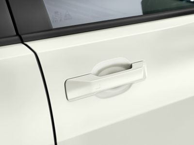Close-up view of the door handle of the Hyundai SANTA FE with recess protection foil.