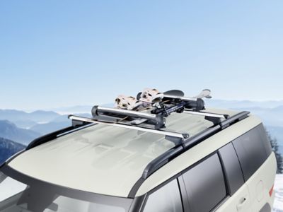 Dak Hyundai SANTA FE met daarop een ski- & snowboarddrager en een paar ski’s en snowboard op de dakrails.