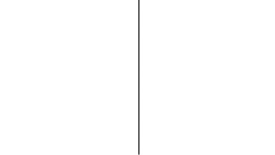 Vertical line graphic in black against a white background, symbolizing connection or separation.