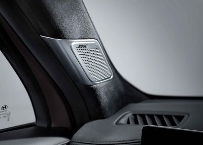 The BOSE premium sound system inside the Hyundai Santa Fe. 