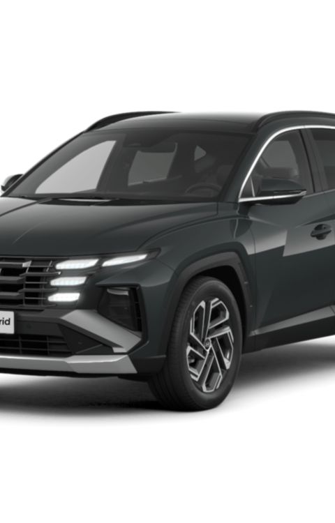 Model Cutout TUCSON Hybrid.