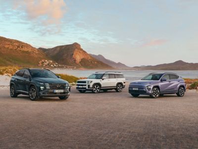  Hyundai fleet vehicles for a growing small or medium-sized business.