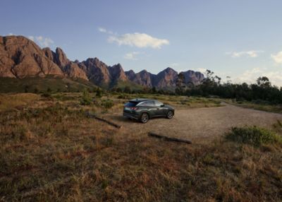 The Hyundai TUCSON Plug-in Hybrid plugged in to charge parked under some trees. 