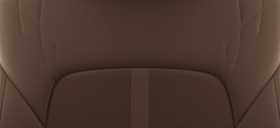 Photo de l’intérieur bi-ton du tout nouveau STARIA Premium en Gray et Brown.
