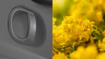 Hyundai dettagli veicoli e fiori gialli