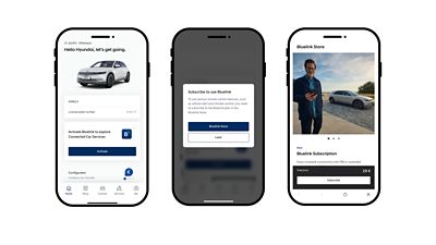 Purchase your Bluelink subscription