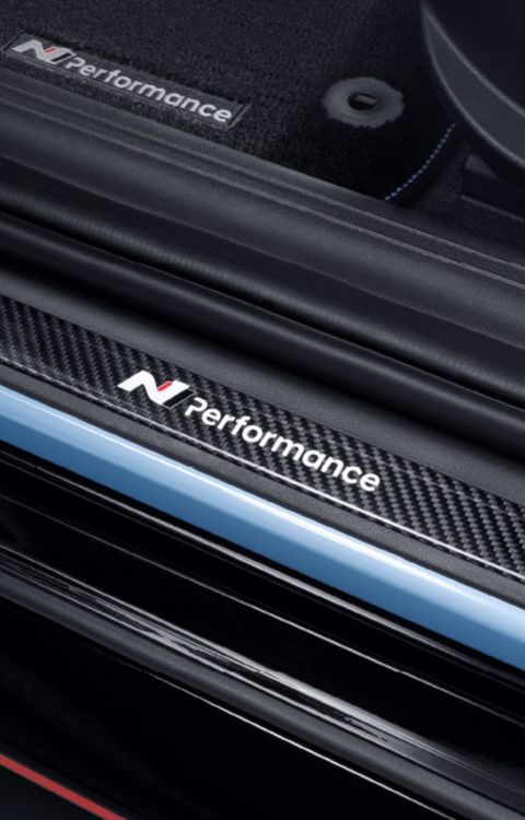 Hyundai IONIQ 6 N Carbon Door Sills