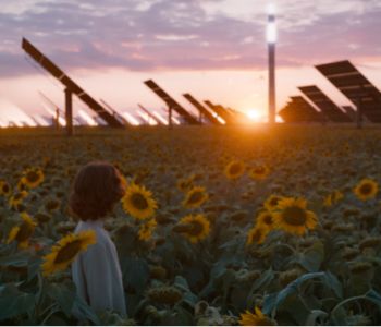 Una donna in un campo di girasoli alla ricerca di pannelli solari