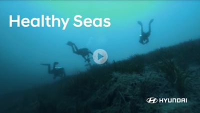 Wrap-Up video of the Healthy Seas and Hyundai partnership in the year 2021.