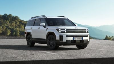Immagine di Nuova Santa Fe Hybrid parcheggiata di fronte ad una casa con famiglia attorno