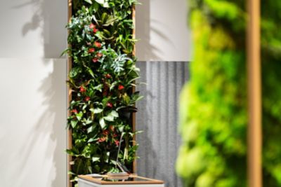 Živá stěna připravená ve spolupráci s Botanickou zahradou Praha
