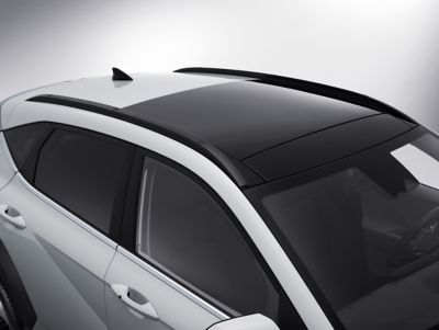 Detailbild: Das Glas-Schiebedach eines Hyundai KONA. 