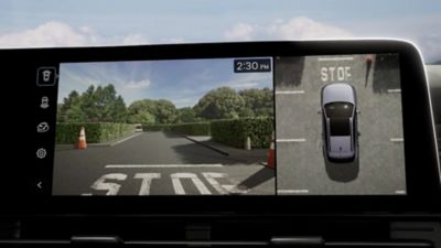 Surround View Monitor